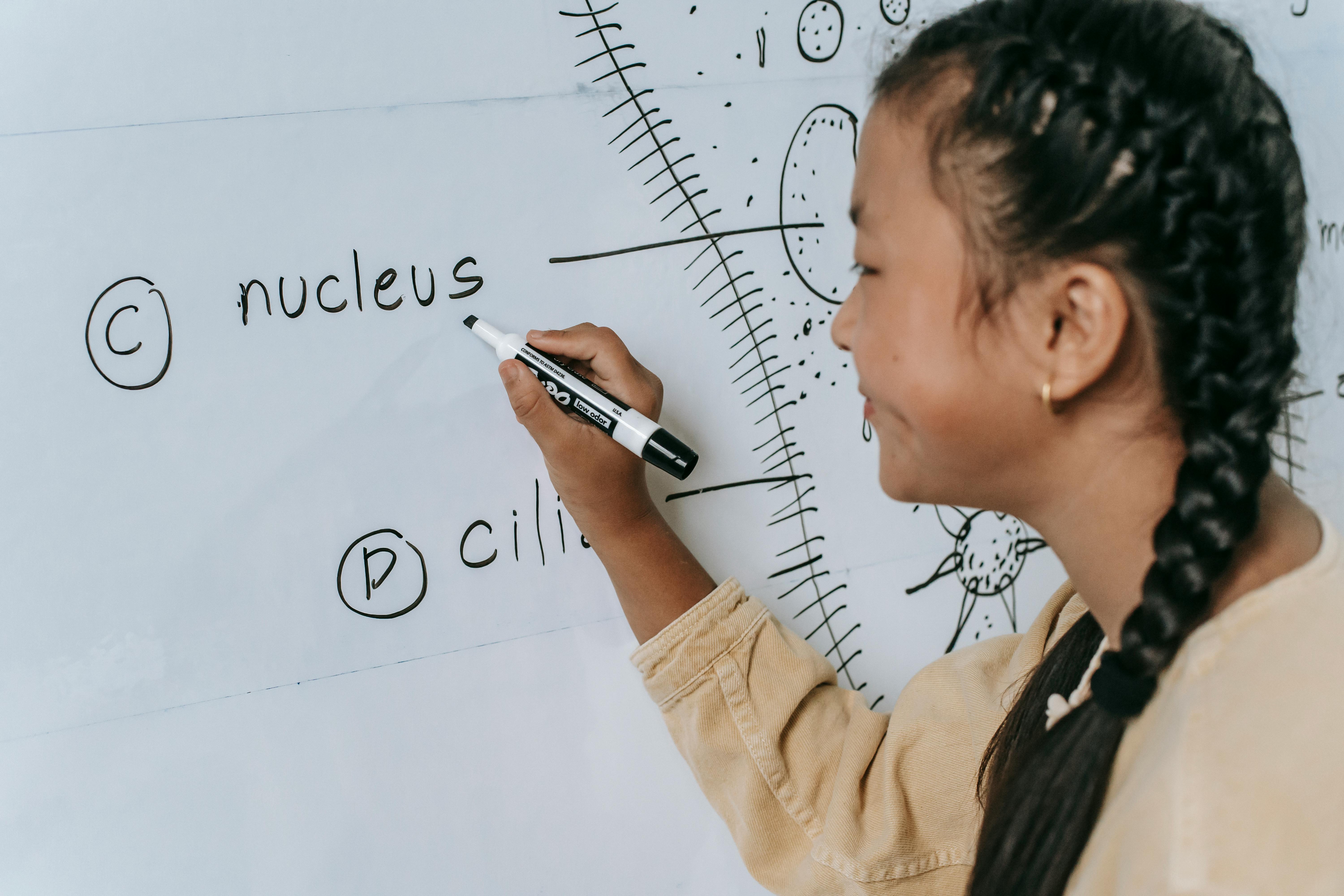 A student writing "nucleus" on a whiteboard in science class